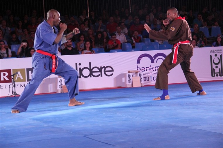 Martial Arts Festival